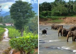Sri Lanka  Packages