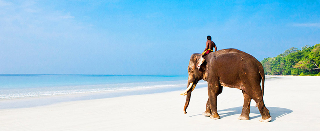 Port Blair - Standard Package